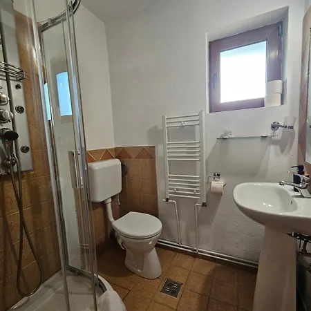 Gasthuis Pensiunea Casa Gobbel Bran (Brasov)