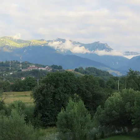 Gasthuis Pensiunea Casa Gobbel Bran (Brasov)
